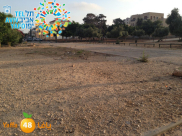 يافا: دائرة أراضي اسرائيل ترفض طلب بلدية تل أبيب بإلغاء مناقصة أرض السوق